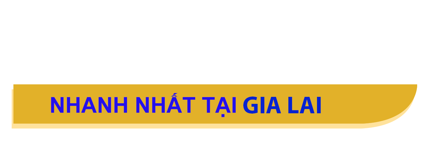 thành lập công ty bình định